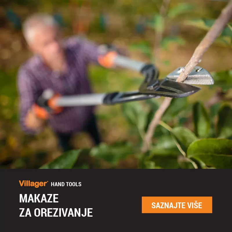 Makaze